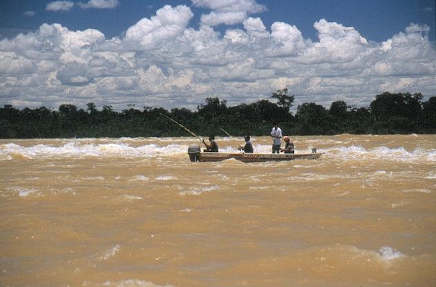 Photograph
