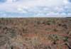 After eucalyptus harvest, Minas Gerais 