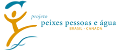 vai  pgina principal